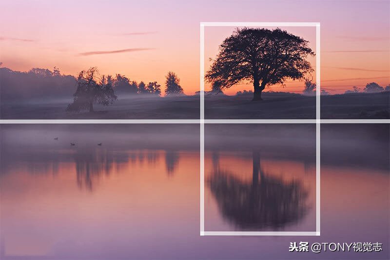 摄影构图黄金螺旋线构图法,构图法则教程