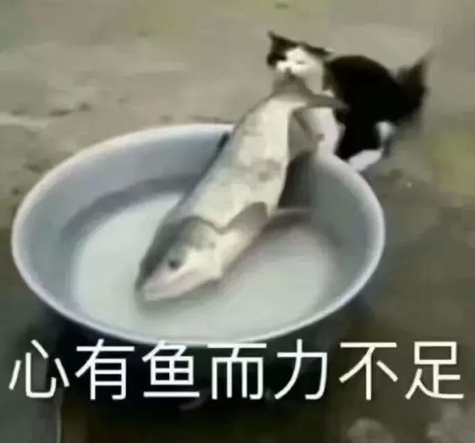 那些没甩脸上的姨妈巾被偷偷的塞进了男生的那里?