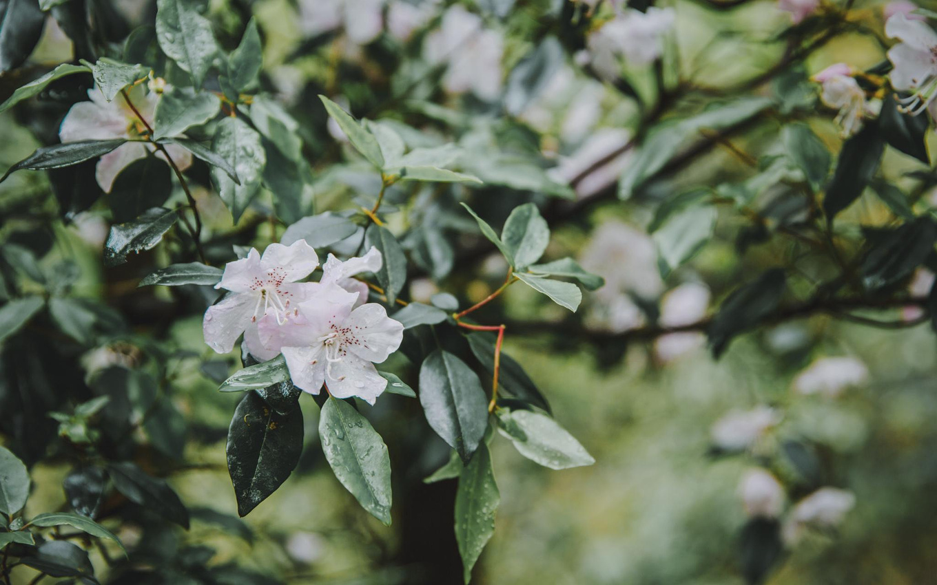 江浙沪藏在桐庐的绿野仙踪,浙江桐庐秘境山水