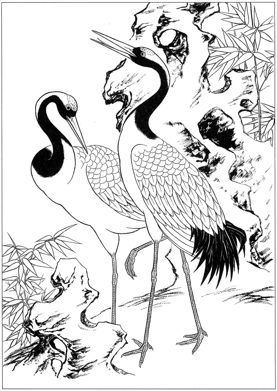 仙鹤桃子工笔白描稿,工笔画仙鹤高清图上色步骤图