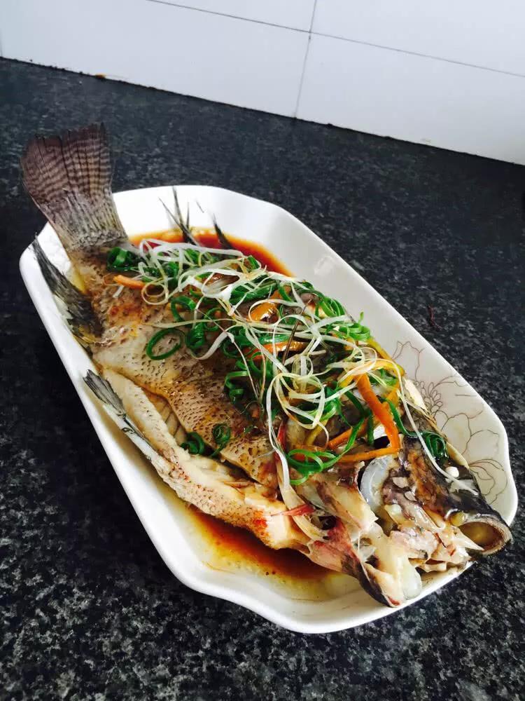 淡水鱼和罗非鱼有什么区别,罗非鱼是海里鱼还是淡水鱼