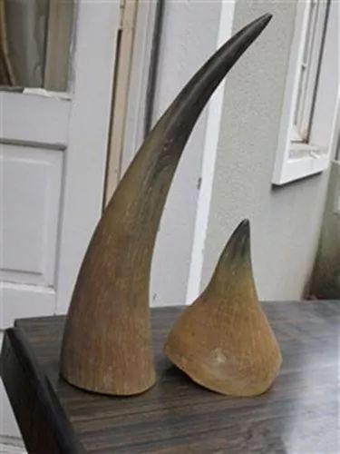 文玩的十大黑幕,文玩最让人无奈的六件事