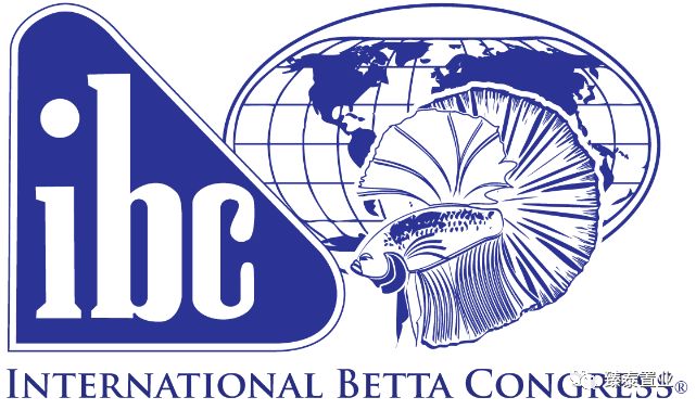 暹罗斗鱼——色与美的战舞