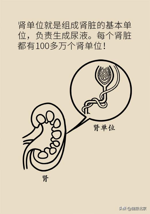 2023健康科普大赛作品,2020健康北京科普作品征集大赛