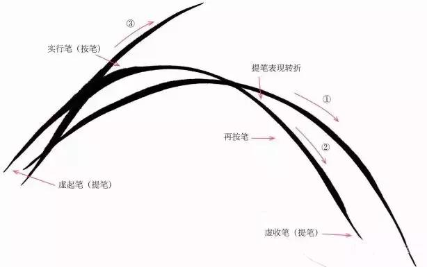 跟徐湛学国画兰草的画法,跟徐湛老师学国画全集兰草画法