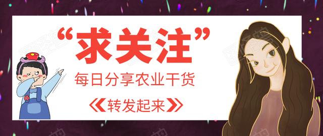 奶牛常见疾病的诊断与防治论文,奶牛反刍障碍疾病的鉴别诊断探析
