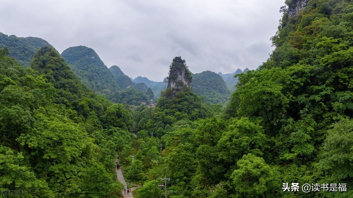 吕氏春秋孝行翻译,吕氏春秋孝行文言文翻译