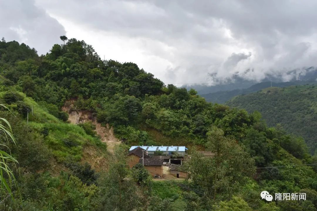 瓦窑：养好“扶贫鸽”大展“鸿鹄志”