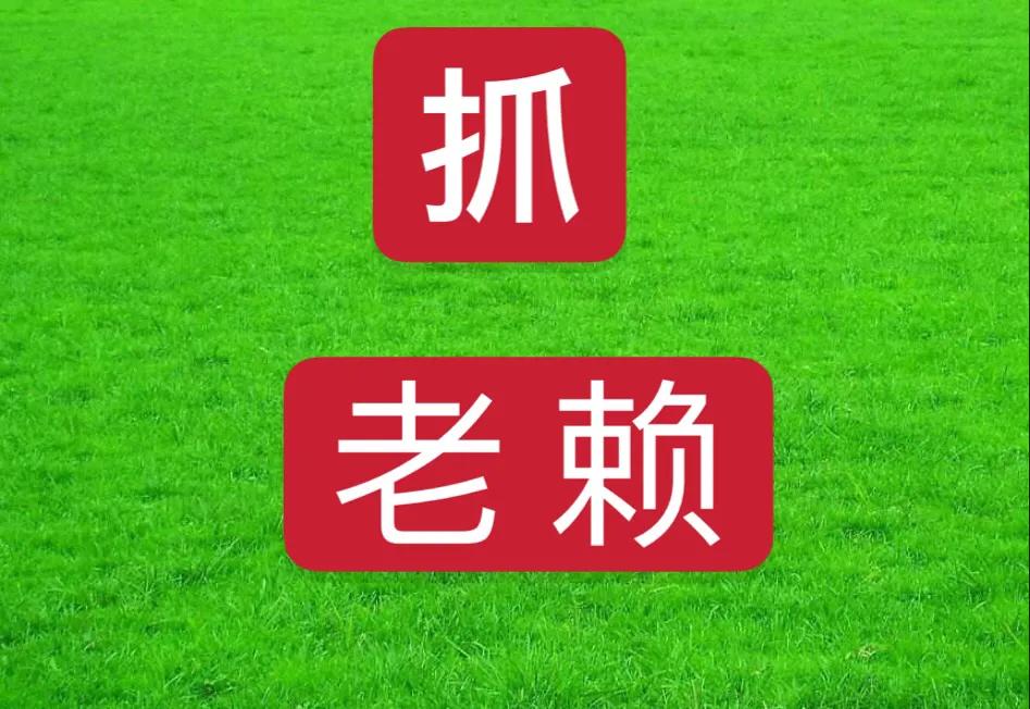 执行案件被执行人失踪了怎么办,执行案期间被告死亡了怎么处理