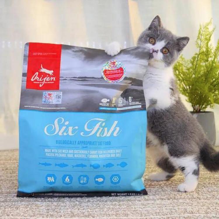 十大必买猫咪用品,这六种猫咪千万别买