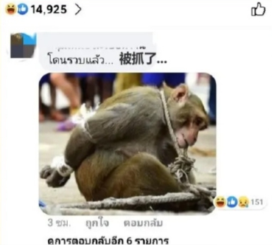 14亿中国人不出门完整视频,中国14亿人口不出门是怎么做到的