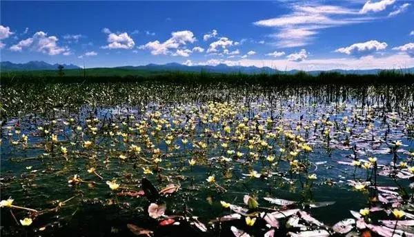 若尔盖，最美的川西草原