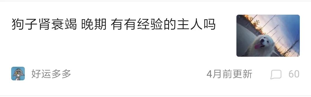 狗狗肾衰竭的治疗方法,幼犬狗狗肾衰竭