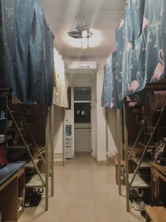 广东科学技术职业学院有几个校区,广东科学技术职业学院介绍