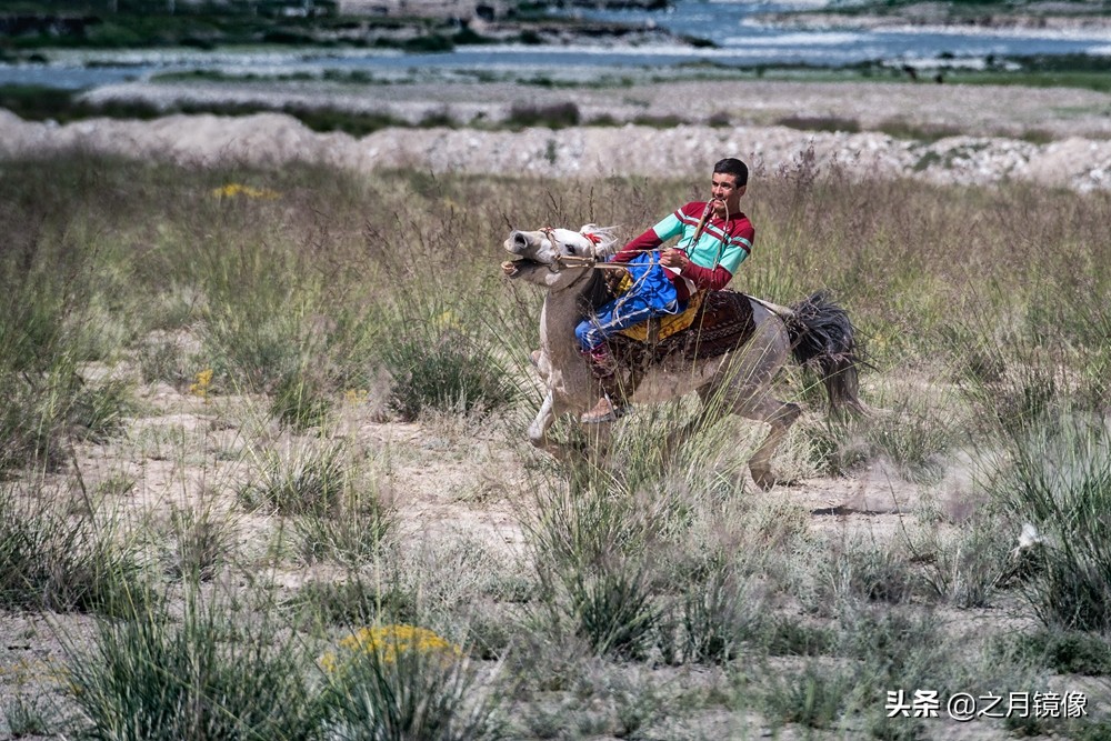 铁血雄鹰全剧,铁血雄鹰全文阅读