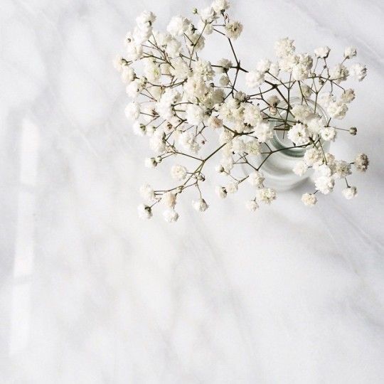 十二星座婚礼花材,十二星座新娘该选什么样的婚礼