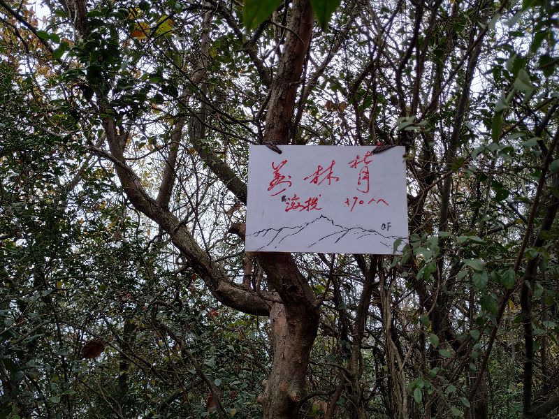 杭州市周末自驾游去哪里好玩,杭州出发周末旅游攻略