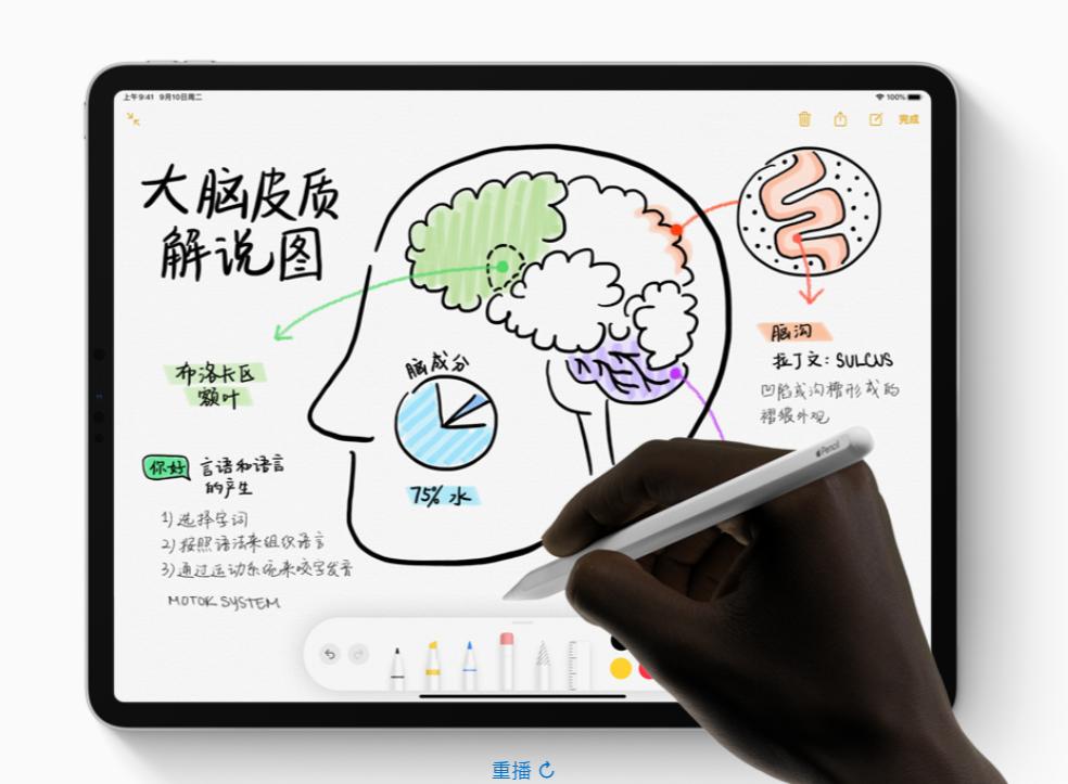 ipadminiipadair怎么选,ipadmini6和ipad2021选哪个