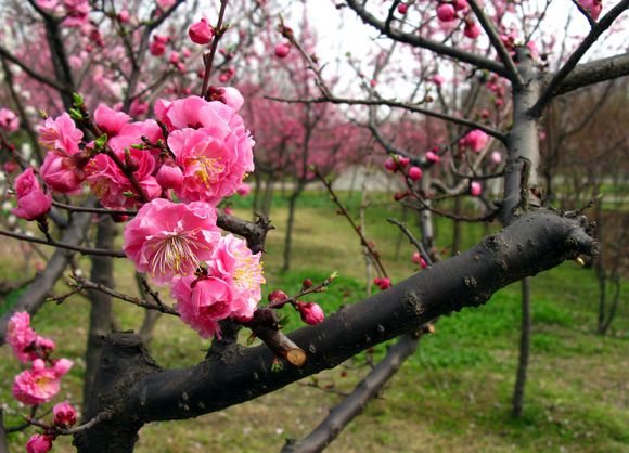合肥市网红游玩区,合肥网红景点推荐