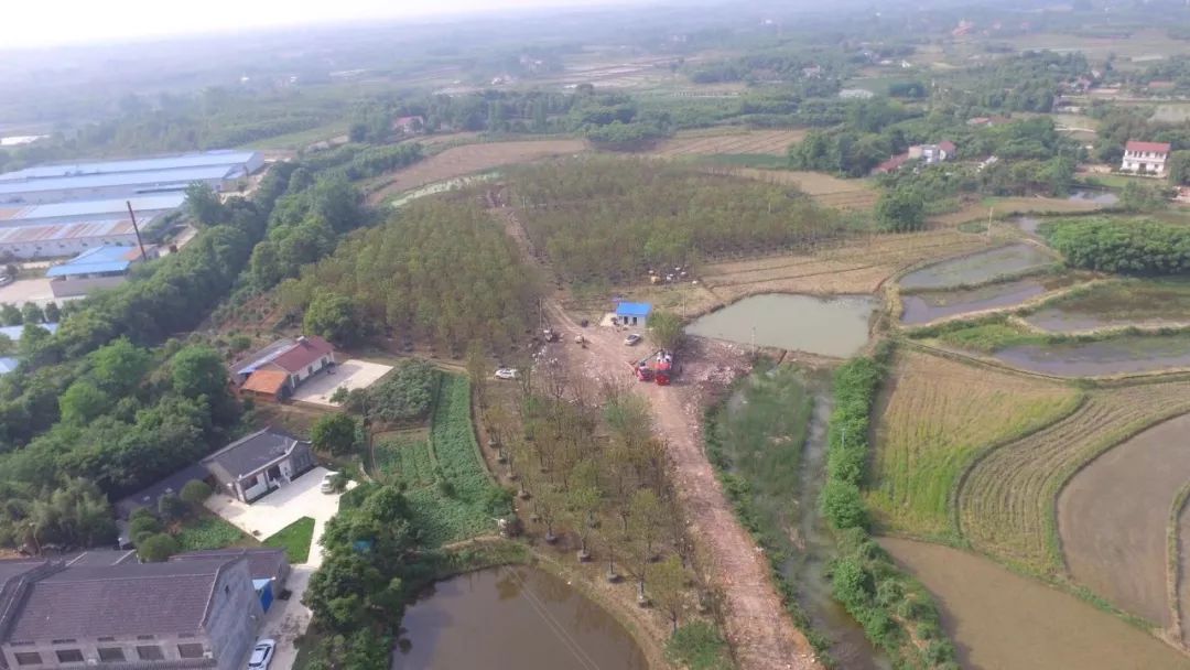 郑显华:显豁知幽抱,华顶望山高