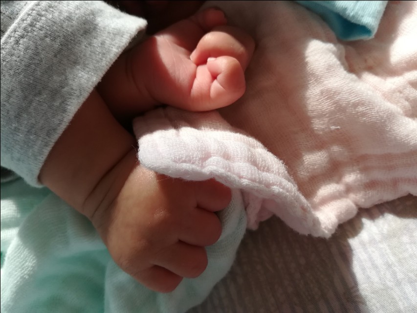 两次胎停育一次生化什么原因,2次胎停育令人唏嘘