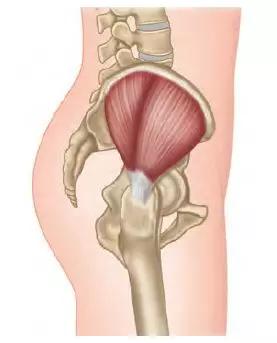 背部感觉扭伤一样的疼痛,为什么总感觉背部酸疼