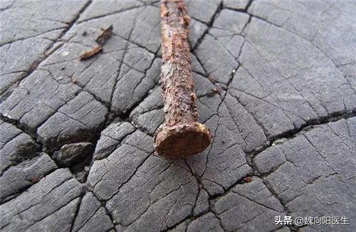 伤口碰到鸡屎会感染破伤风吗,刀割的伤口会感染破伤风吗