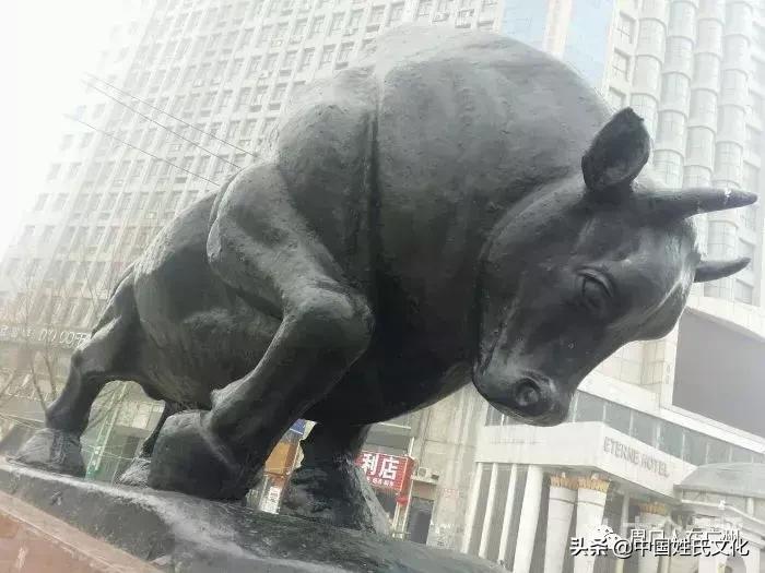 关于河南周口方言的视频,河南周口方言有什么特别之处