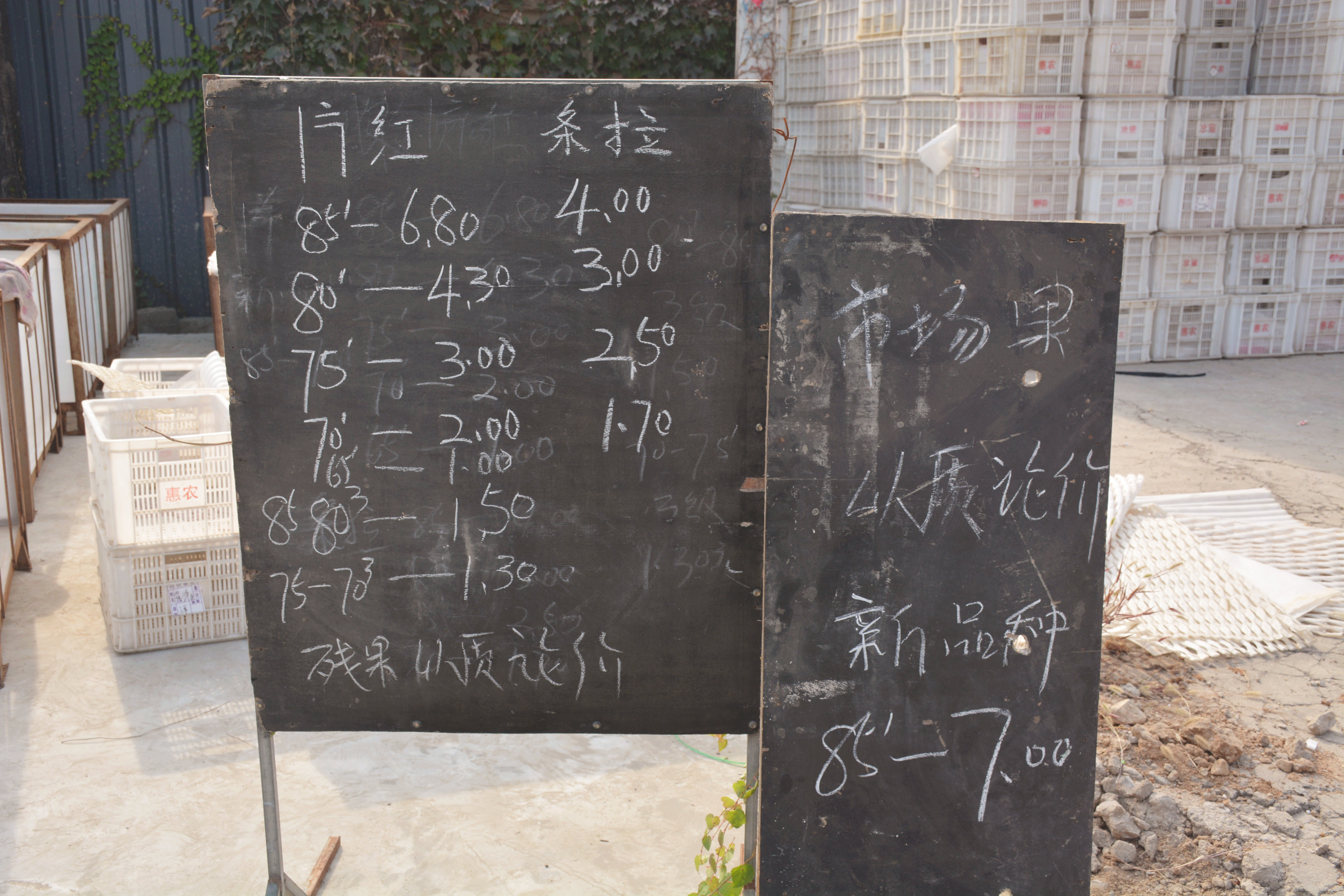 烟台苹果价格分析表,烟台蓬莱苹果价格表