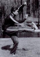 神拳秘传7-12炮教学,炮拳实战技法