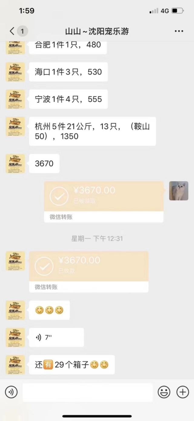 宠物店生意好做吗,宠物店生意前景怎么样