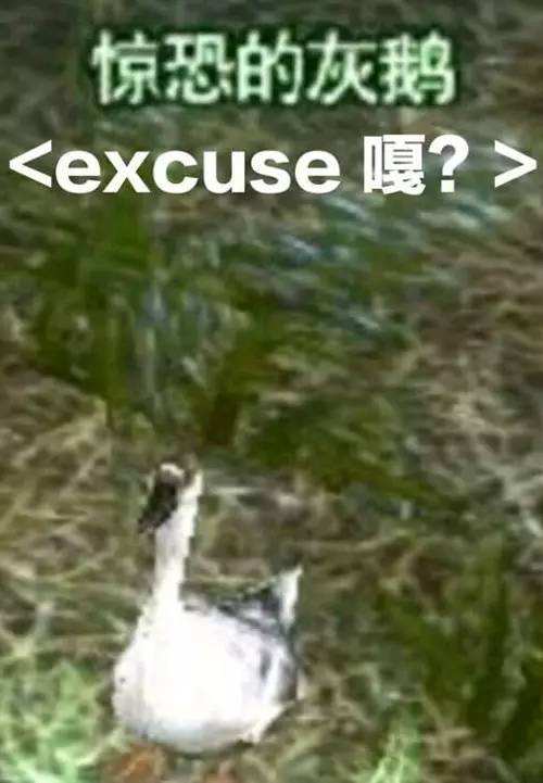游戏“鹅”生：假如让我当三天鹅