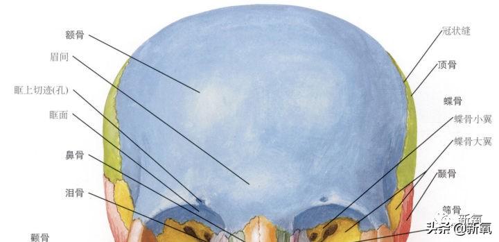 宁静和郑希怡对比,郑希怡和宁静对比