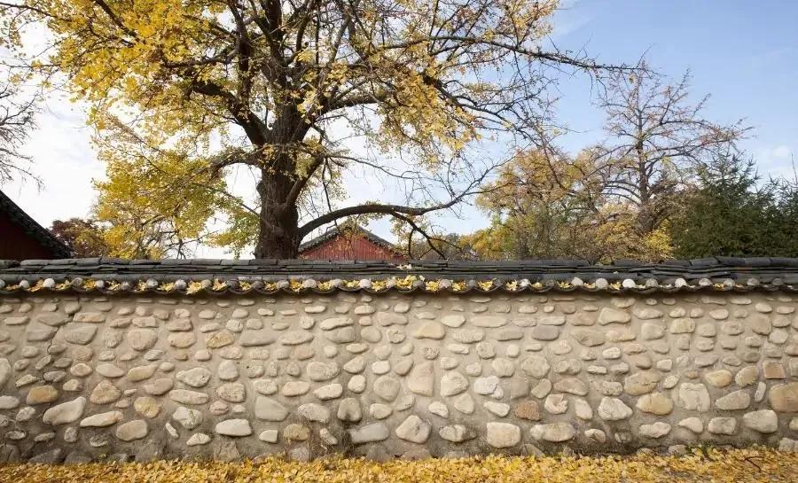 无聊时做这三件事你会越来越好,无聊时要做的十件事