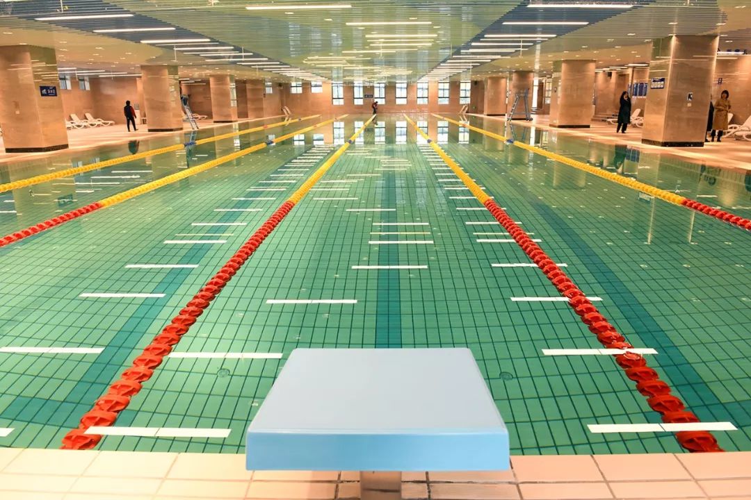 2020年水立方国际游泳邀请赛,2019年全国夏季游泳锦标赛