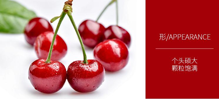 智利车厘子超大果黑甜,智利进口车厘子新鲜大果樱桃