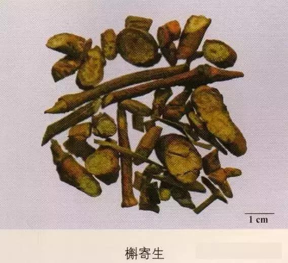 中药材图片大全大图带药名,200多味中药材图谱带图