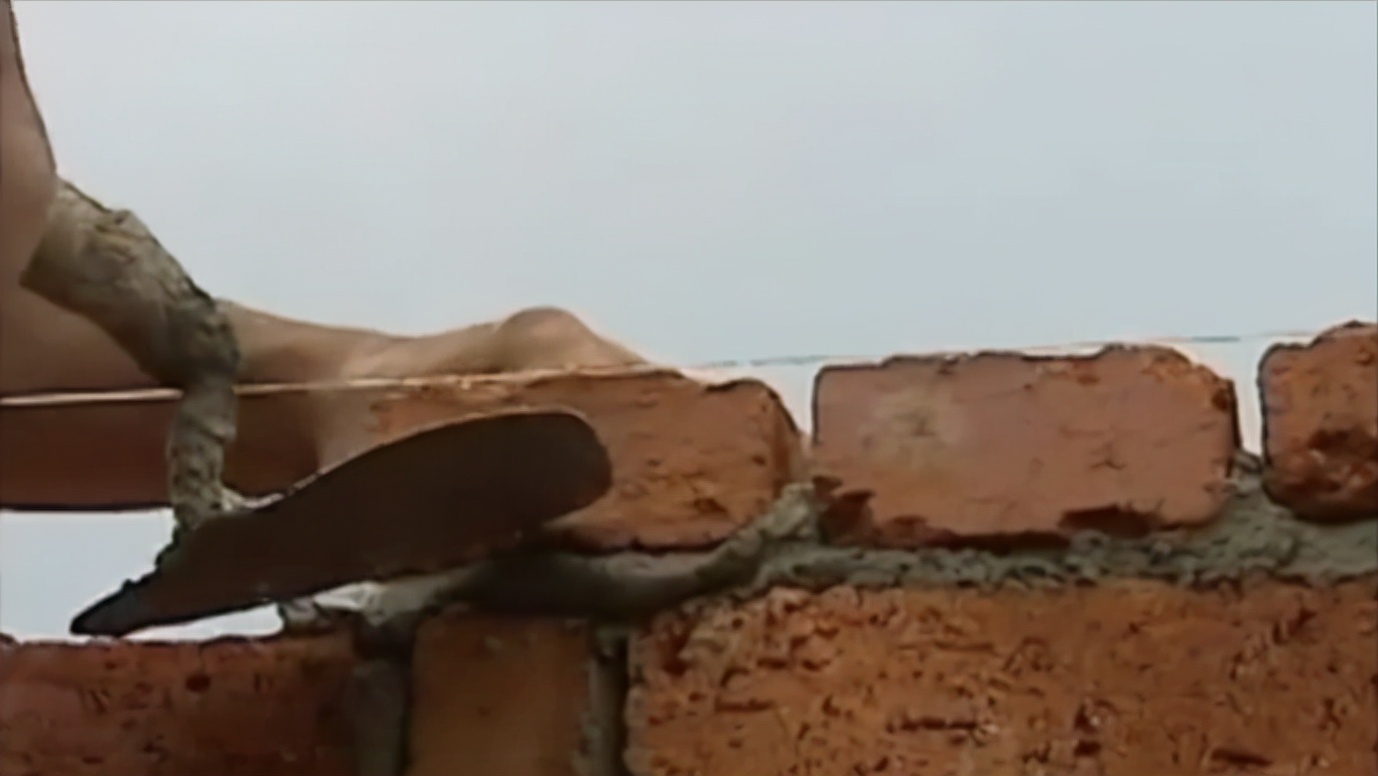 毒蝎进村的真实事件,毒蝎进村的真实原因