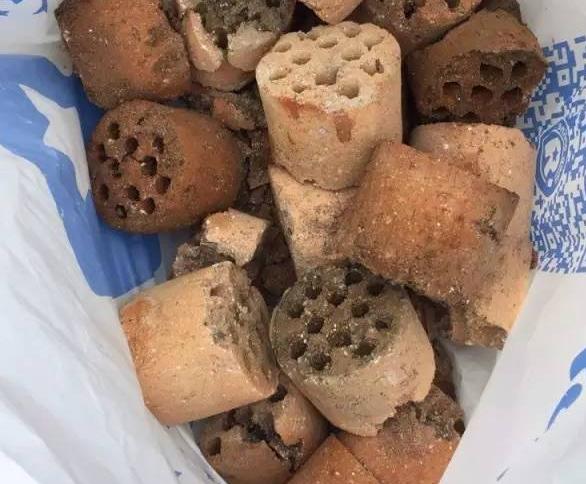 花根不透气了会怎样,花根不透气怎么办