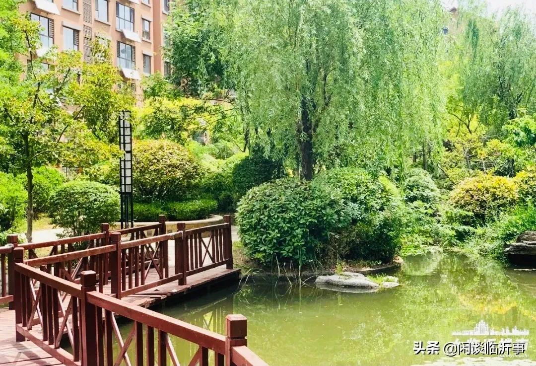 可圈可点，实探临沂学区老大哥三十五中，周边两万+的学区房