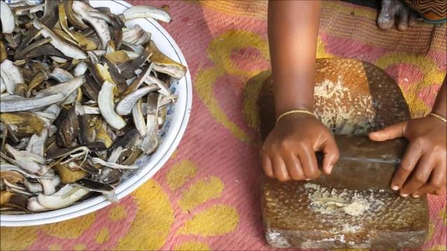 养花什么肥料好用又实惠,养花三种肥在家轻松就搞定