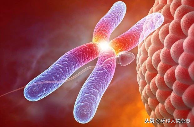 白银连环杀手案,白银杀手连环案