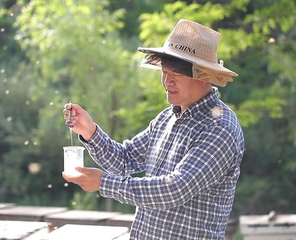 如何辨别真蜂蜜假蜂蜜,蜂蜜质量好坏鉴别方法