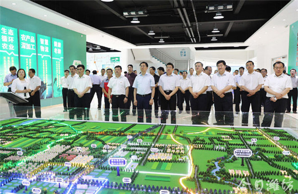 潍坊市乡村振兴方案,潍坊乡村振兴村庄项目