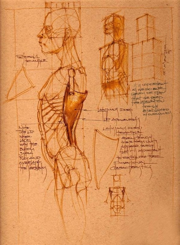 透视表现空间的基本方法,透视解剖学原理书籍
