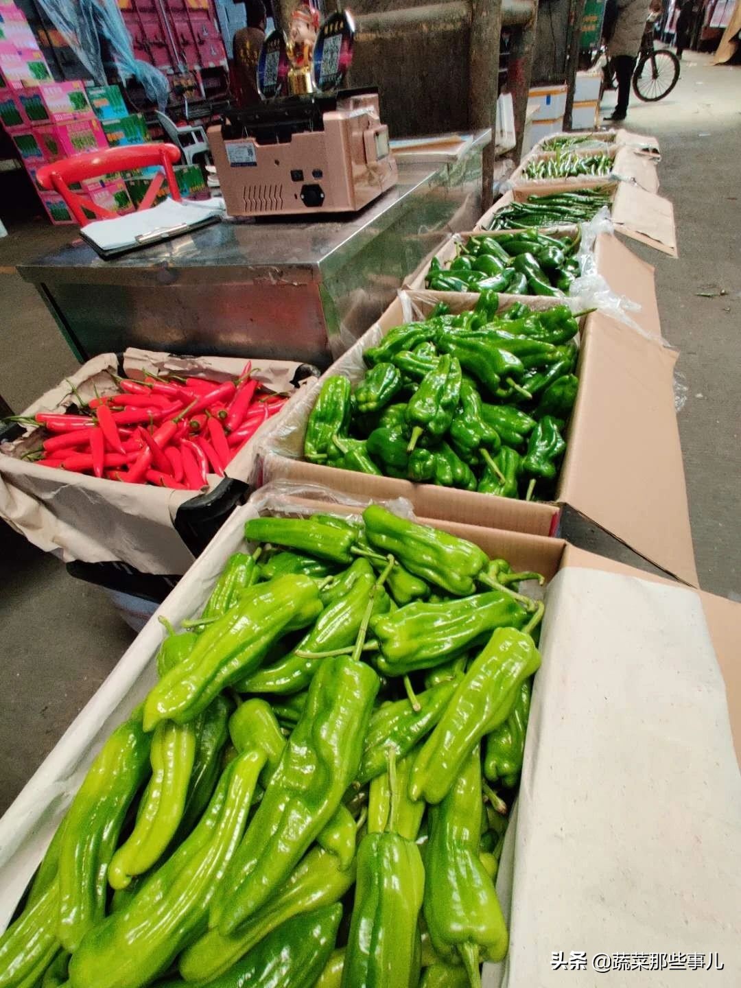 今日上海江桥带壳鲜蚕豆批发价,上海江桥蔬菜批发市场运输蚕豆