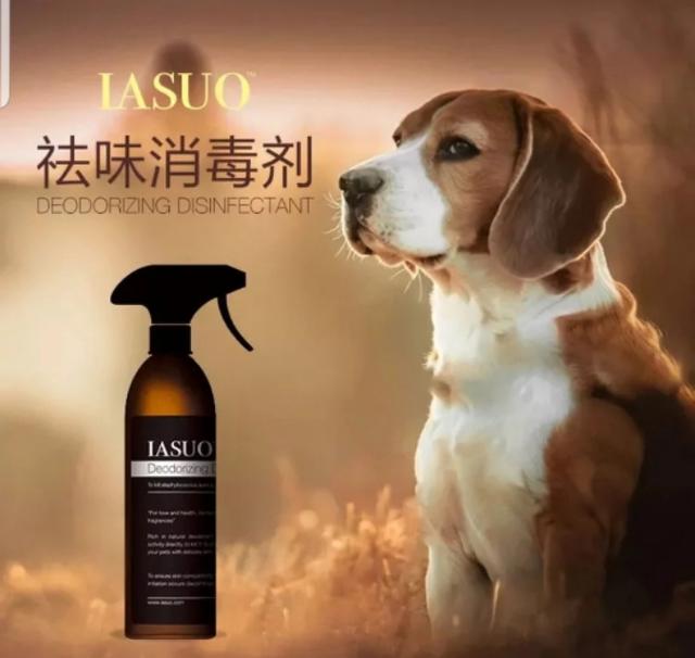 楼上养狗异味非常大怎么办,养狗狗怎么保持干净无异味