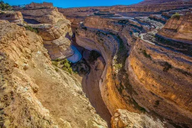 突尼斯是不是地中海,突尼斯一半沙漠