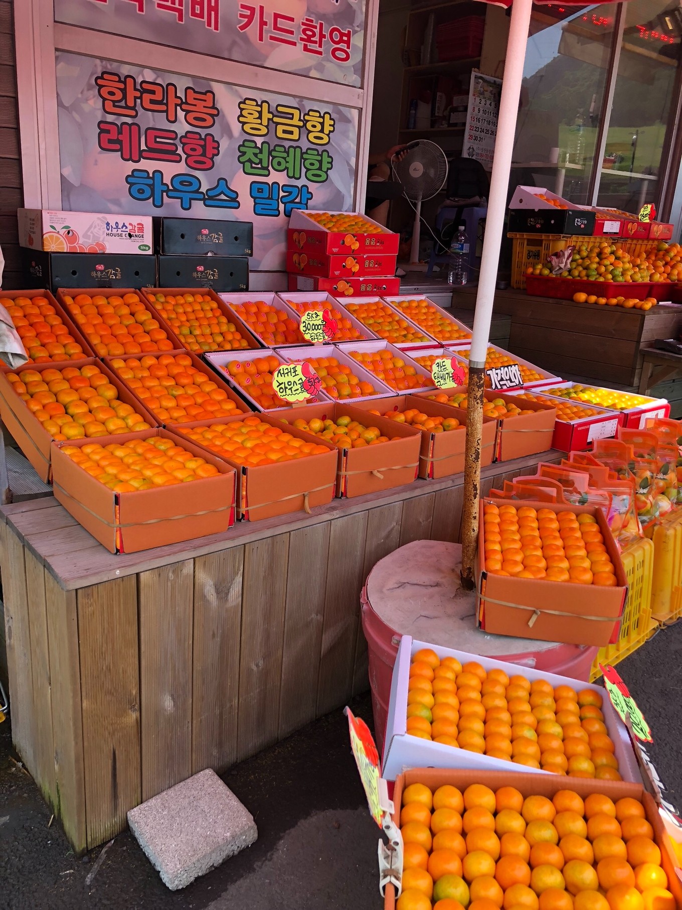 不会韩语去济州岛怎么自由行,济州岛两天旅行攻略