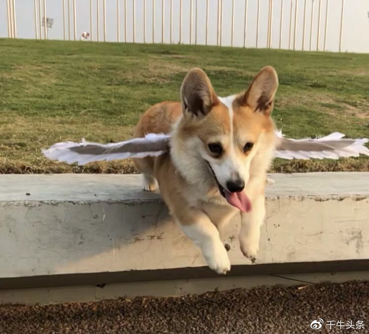 线下连亏两年，线上年入千万：淘宝成创业最佳选择